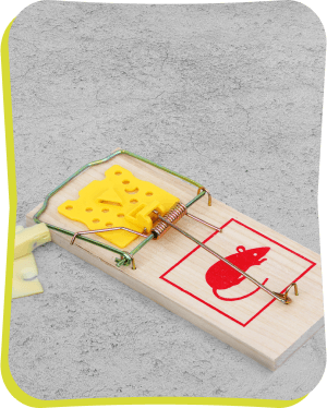 mousetrap