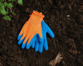 gloves